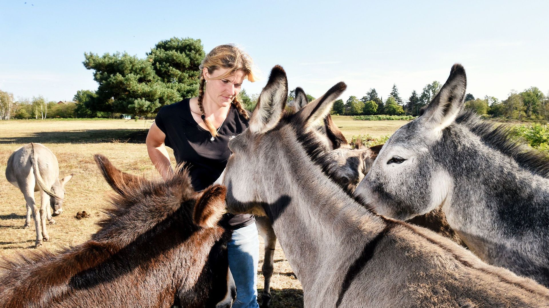 Storchenhof Naturschutz in Dettenheim / Erlebnishof – Bild 4