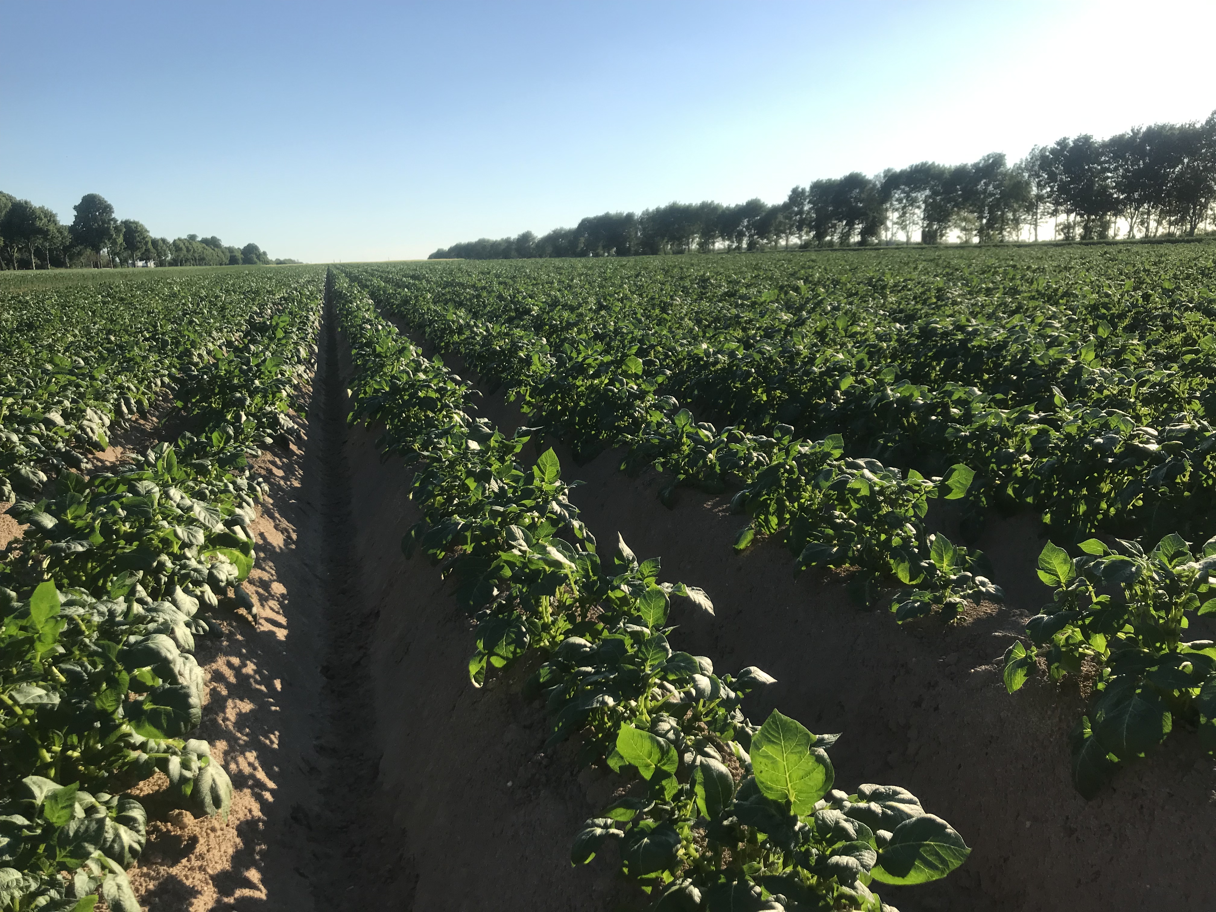 Kuckertz Hofladen – Bild 3