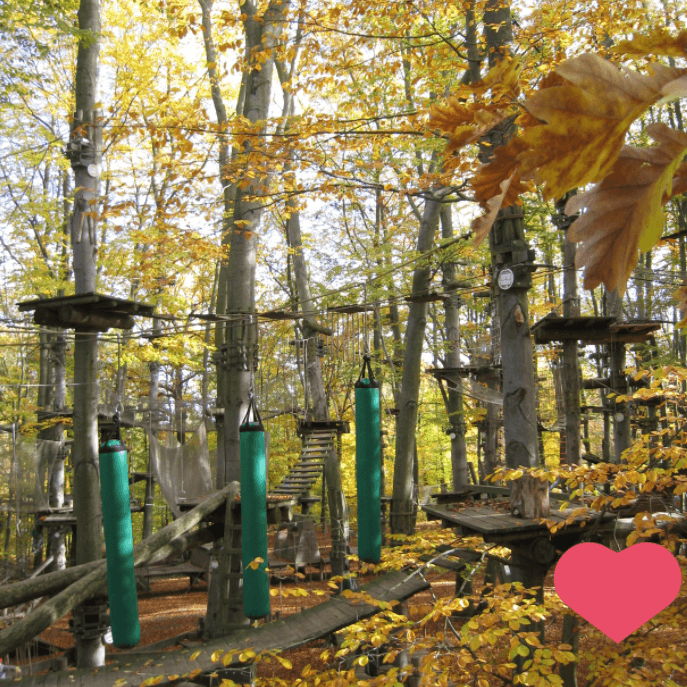 AbenteuerPark Kletterwald - Winterpause bis 21.März 2026 – Bild 4