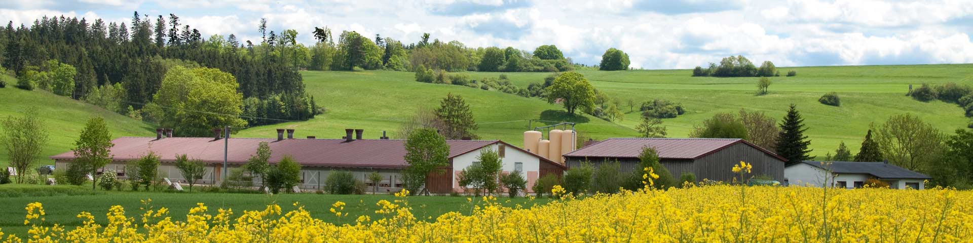 Steinefurthof – Bild 3