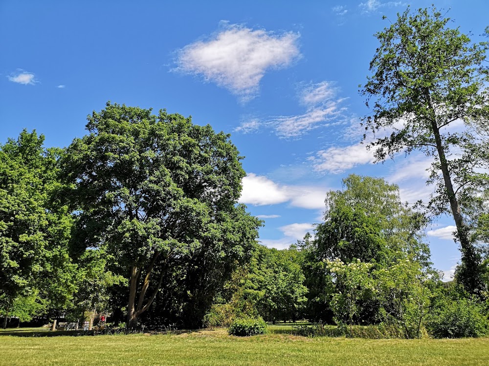 Riegerpark – Bild 2