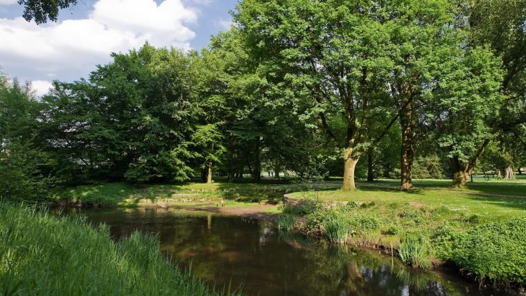 Riegerpark – Bild 5