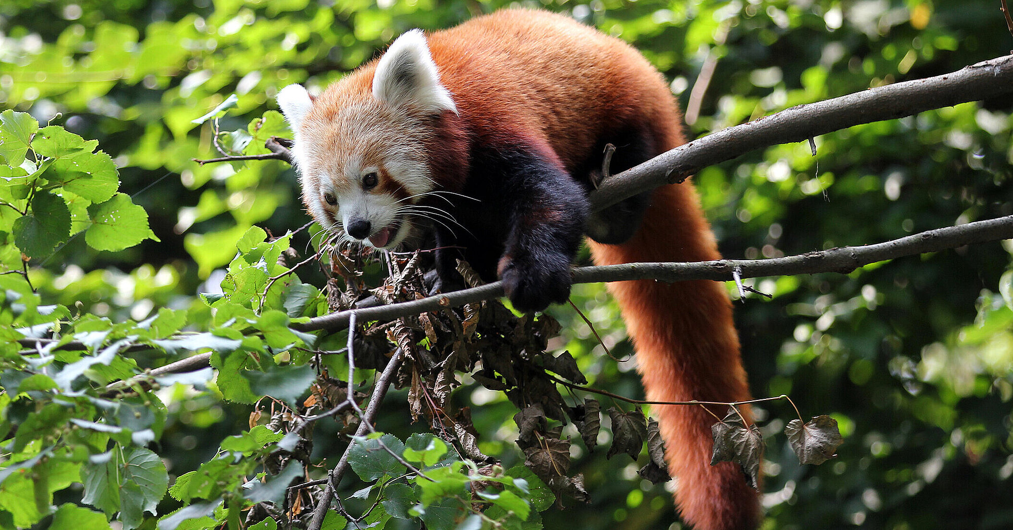Zoo Leipzig – Bild 4