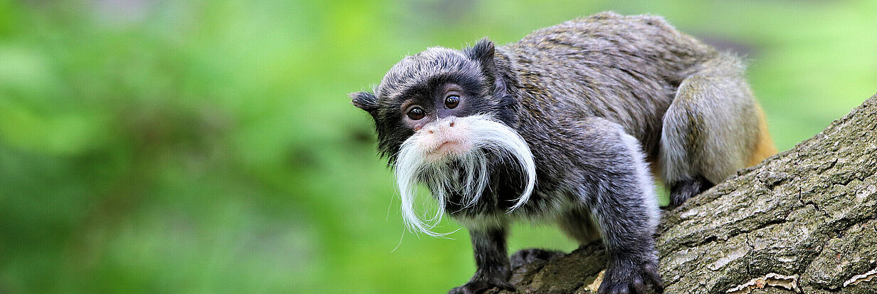 Zoo Leipzig – Bild 5