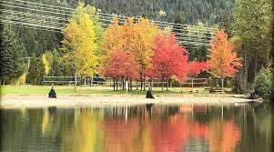 Rainbow Park – Bild 4