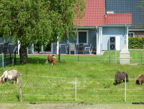 Ferienhof Karstens – Bild 5