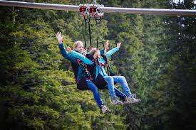 Dragon Glider – Bild 2