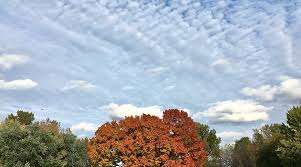 Prairie Park – Bild 3