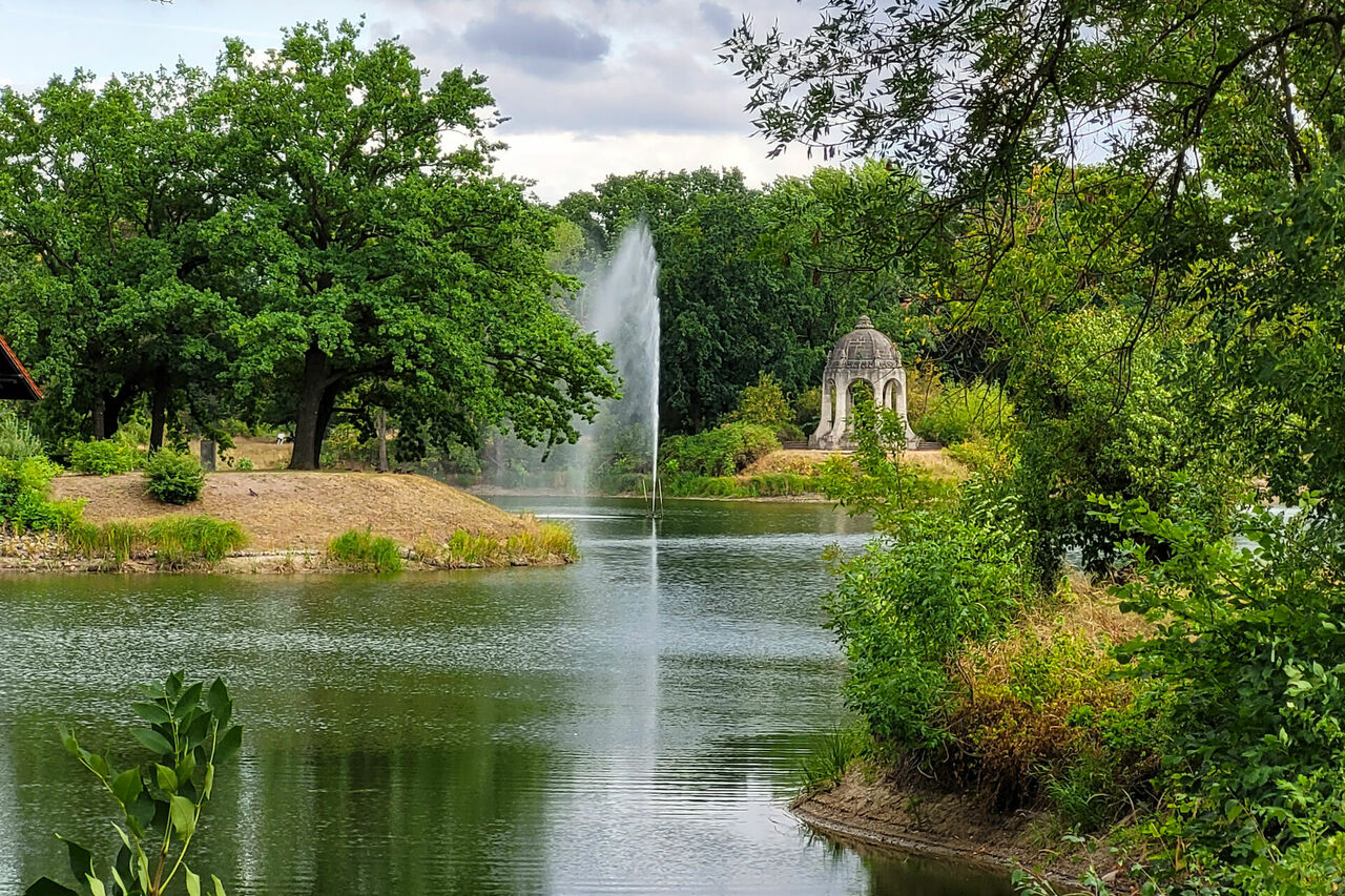 Stadtpark Rotehorn – Bild 1