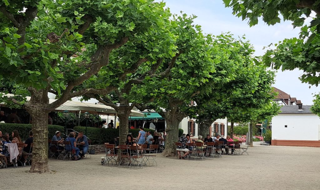 Freizeit- u. Biergarten – Bild 2