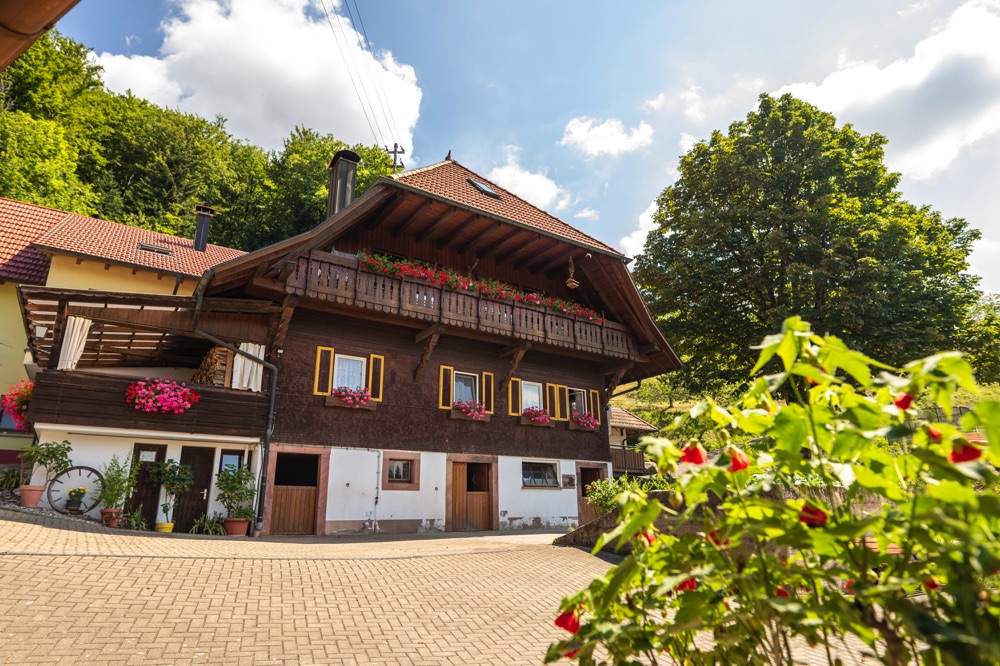 Bergbauernhof August Lehmann – Bild 1