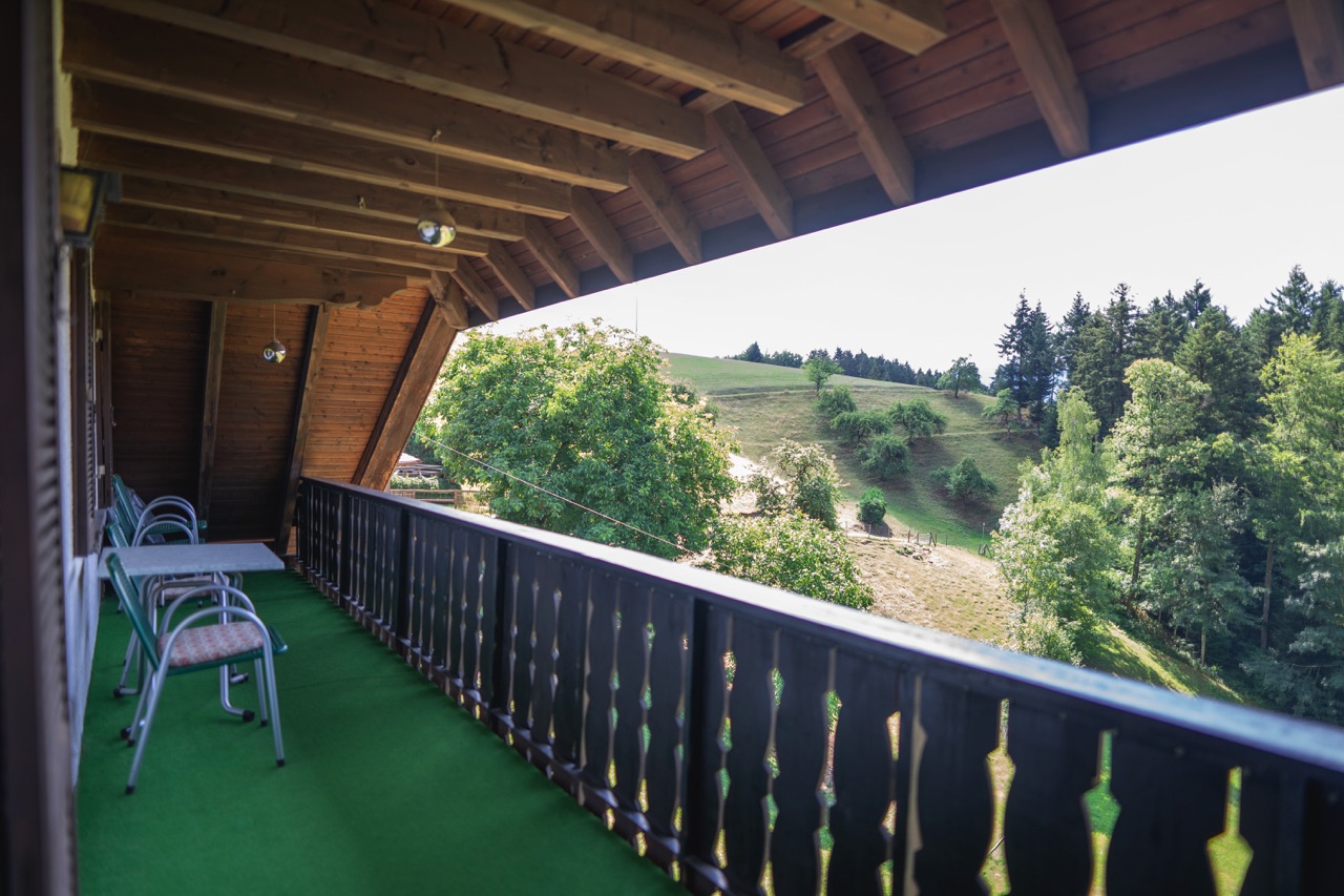 Bergbauernhof August Lehmann – Bild 4