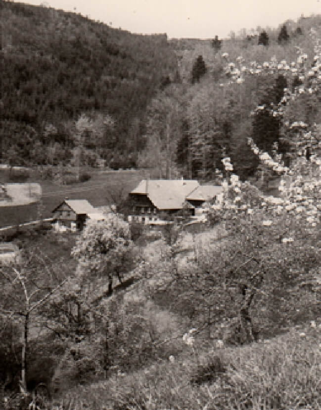 Bergbauernhof August Lehmann – Bild 5