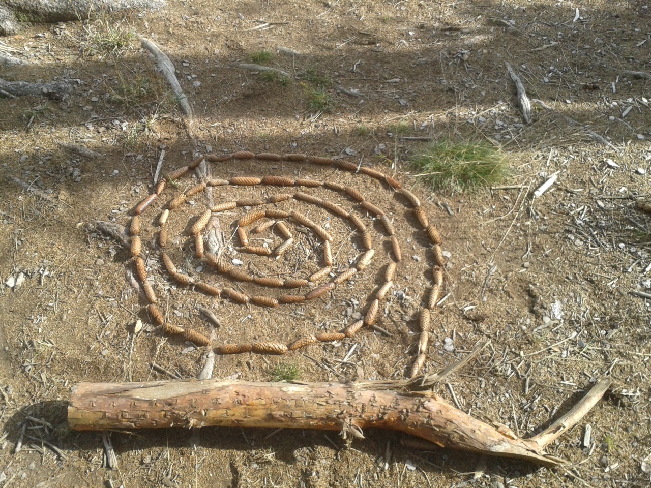 Echte-Naturhelden – Bild 6