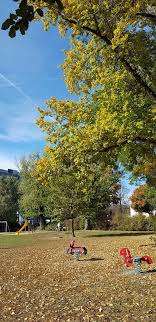 Spielplatz am Langedelwehr – Bild 4