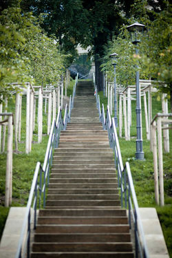 Terrassengärten – Bild 2