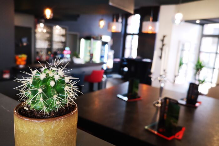 Pecados Café Bar Restaurant – Bild 5