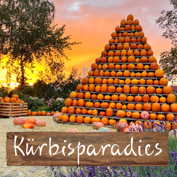 BAUER LIPP – Bild 3