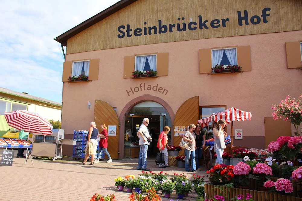 BAUER LIPP – Bild 6