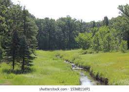 Bunn's Creek Centennial Park – Bild 3