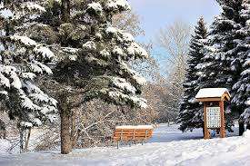 Bunn's Creek Centennial Park – Bild 5