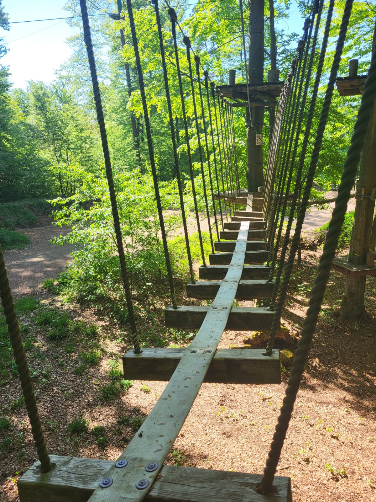 Kletterwald Kaiserslautern TiLu Adventure UG – Bild 2