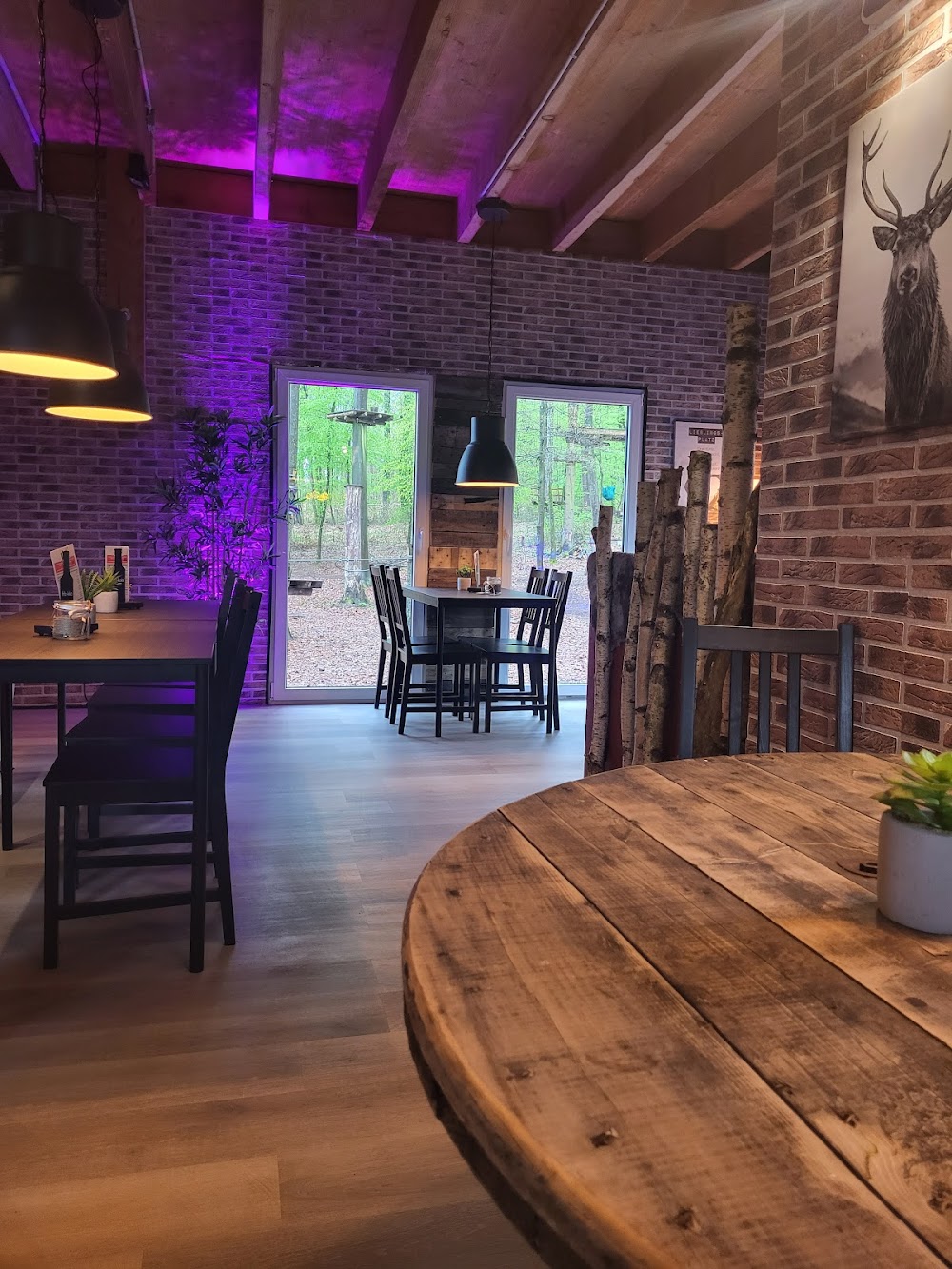 Kletterwald Kaiserslautern TiLu Adventure UG – Bild 6