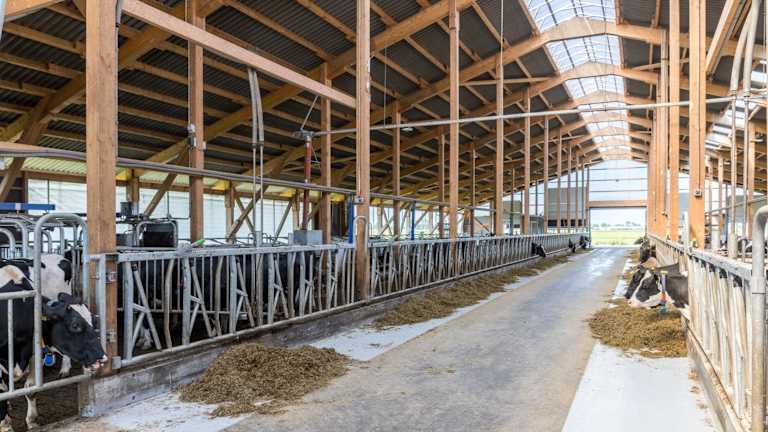 Urlaub auf dem Bauernhof "Friesenhof Janssen" – Bild 4