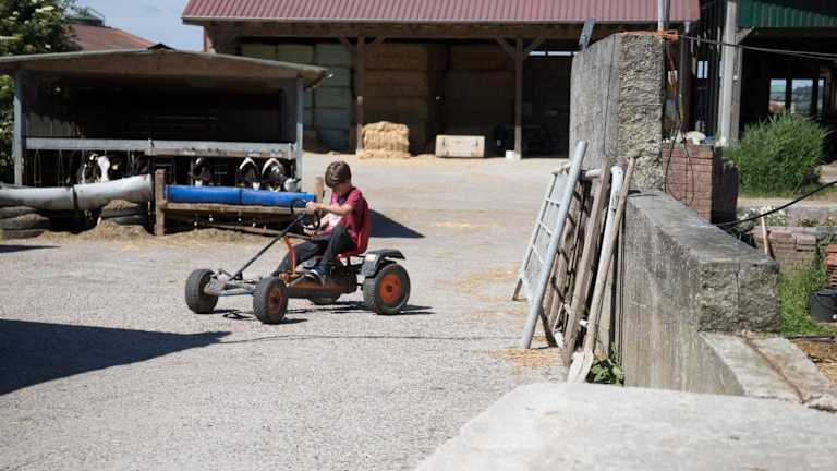 Urlaub auf dem Bauernhof "Friesenhof Janssen" – Bild 5
