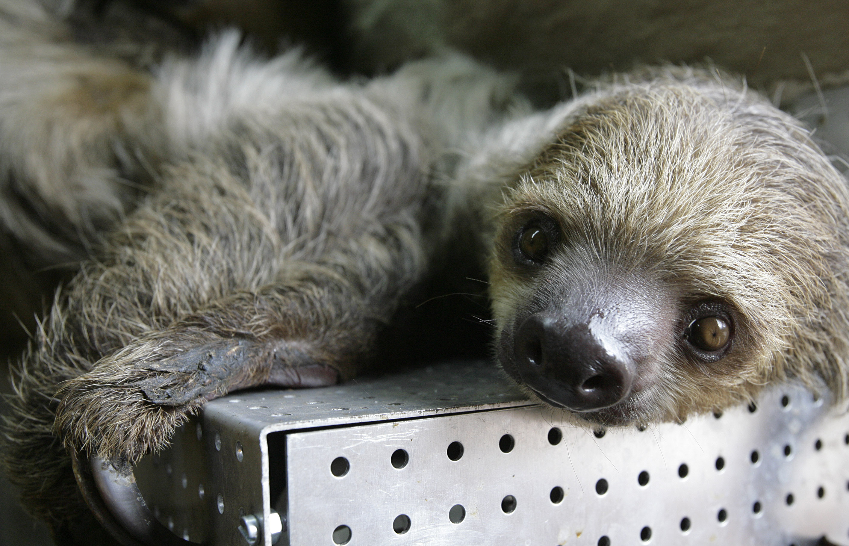 Zoo Kaiserslautern – Bild 2