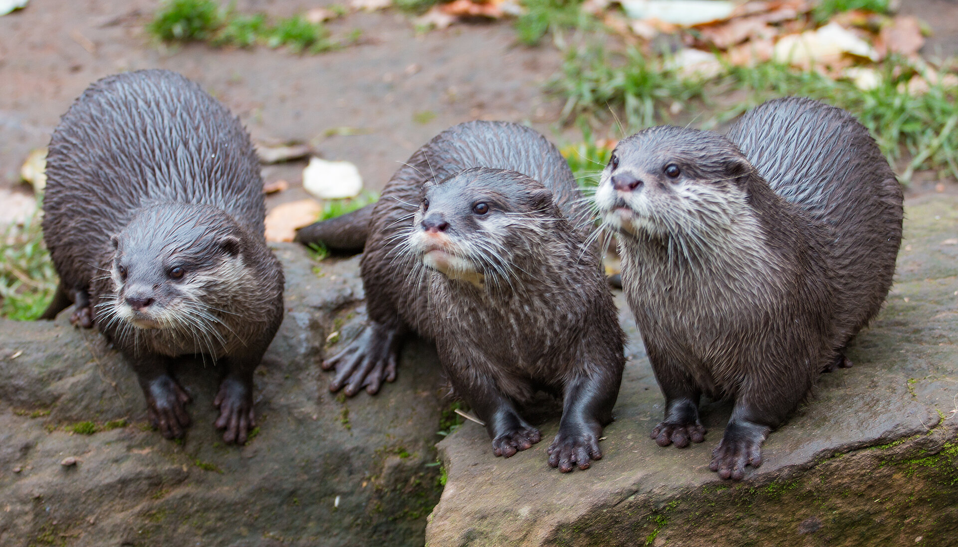 Zoo Kaiserslautern – Bild 5