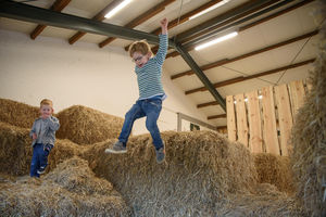 Hof Püning – Bild 3