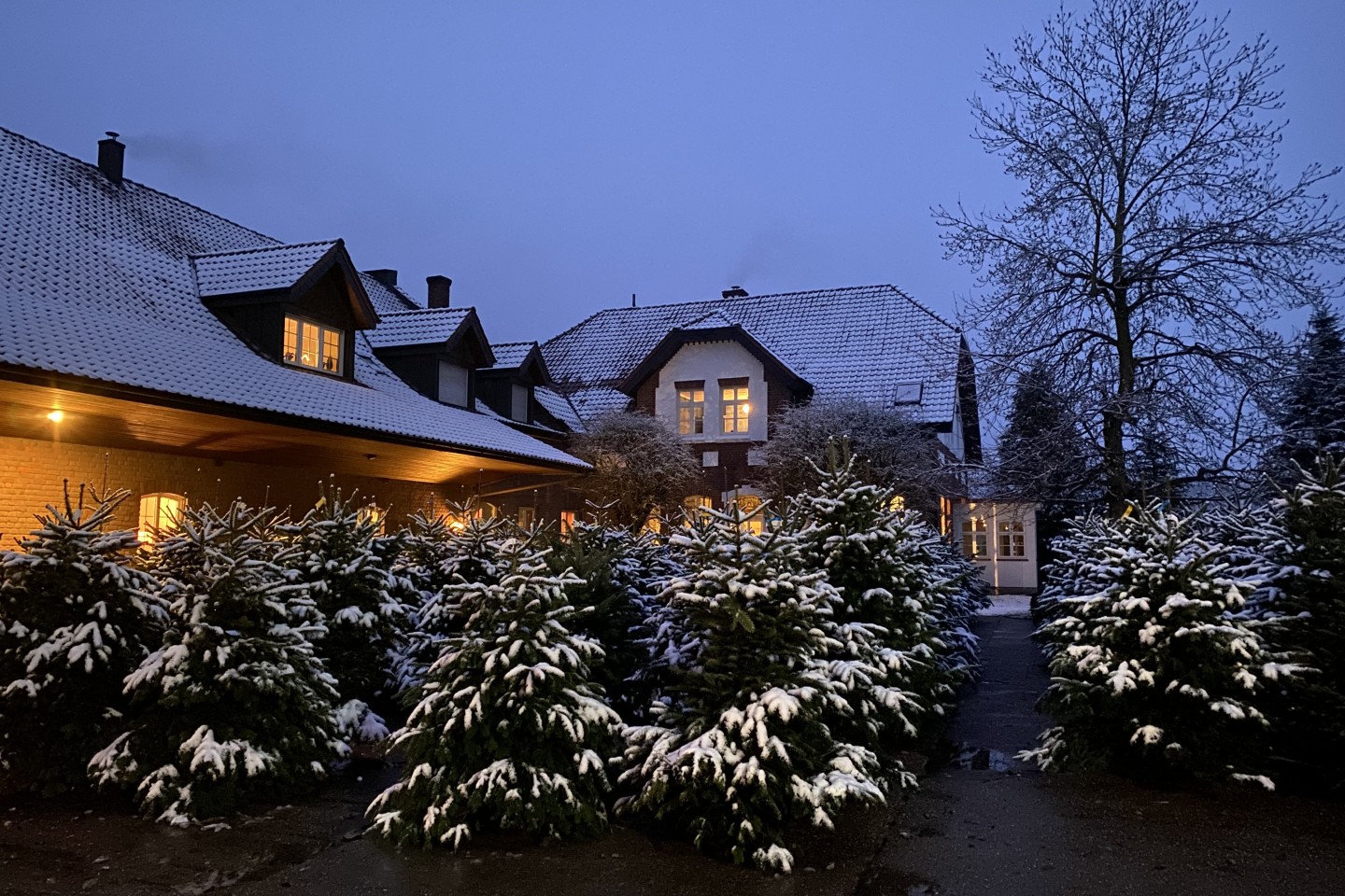 Hof Püning – Bild 4