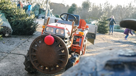 Hof Püning – Bild 6