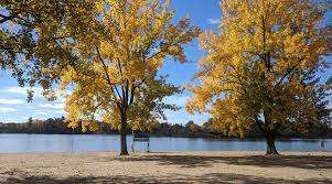 Mooney's Bay Park and Beach – Bild 3