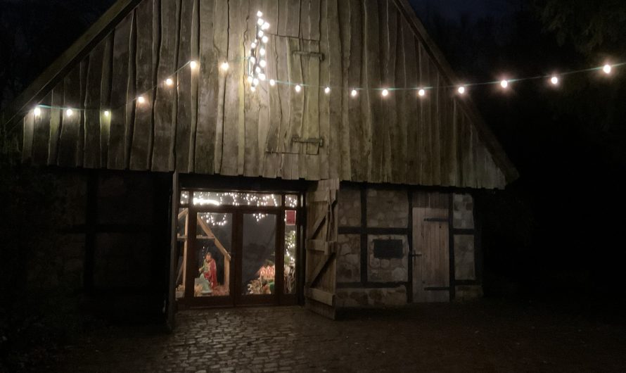 Walshagenpark – Bild 6