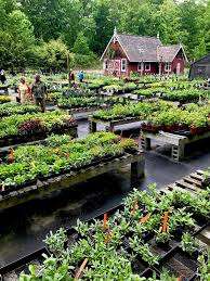 Harryetta Gardens – Bild 6