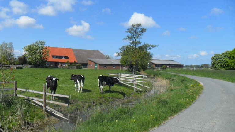 Bauernhof Höfers – Bild 2