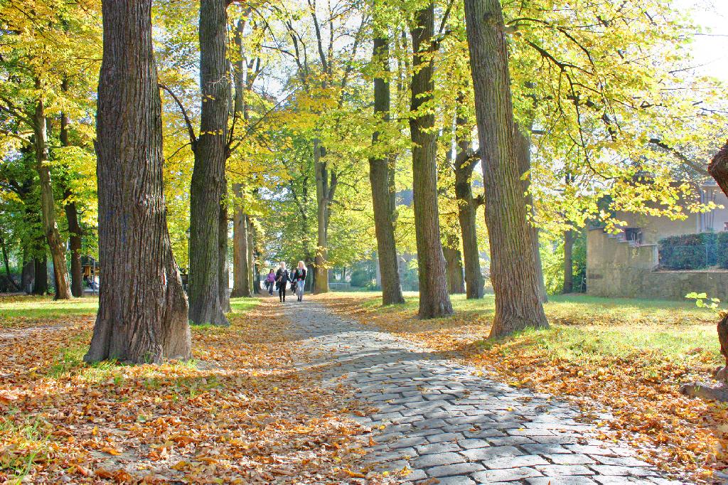 Abenteuersp – Bild 3