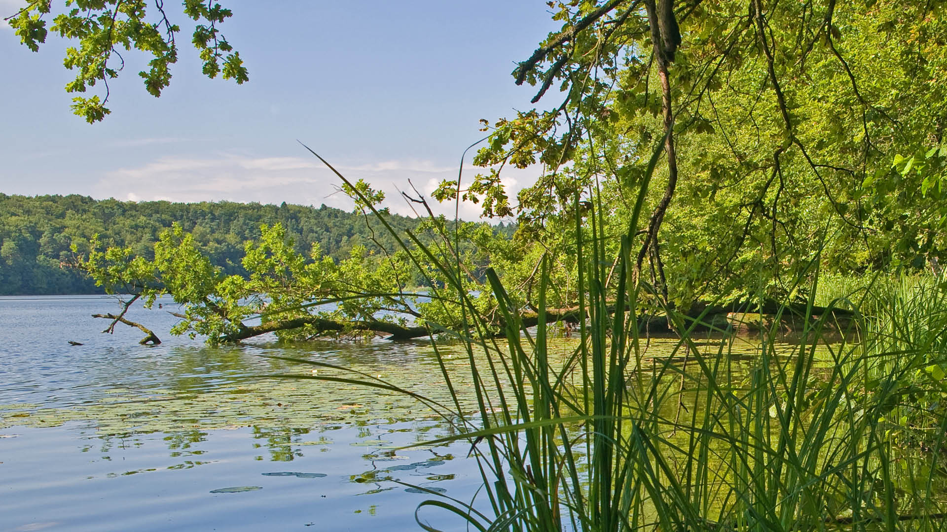 Naturpark Lauenburgische Seen – Bild 1