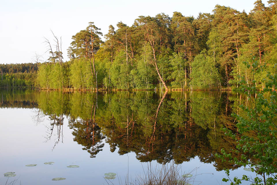Naturpark Lauenburgische Seen – Bild 2