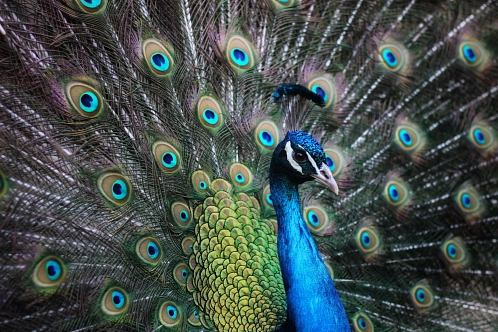 Streichelzoo Hohenstein Witten – Bild 3