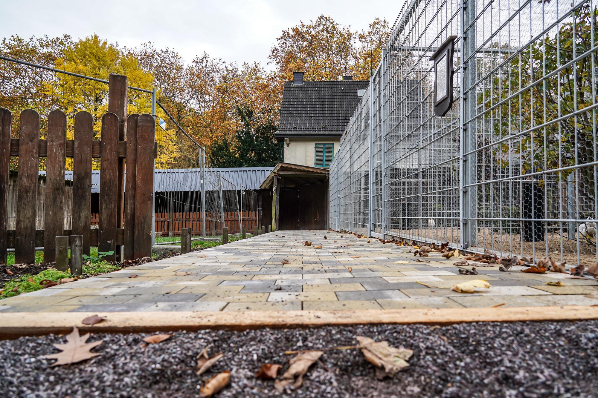 Streichelzoo Hohenstein Witten – Bild 4