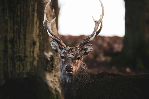 Streichelzoo Hohenstein Witten – Bild 5