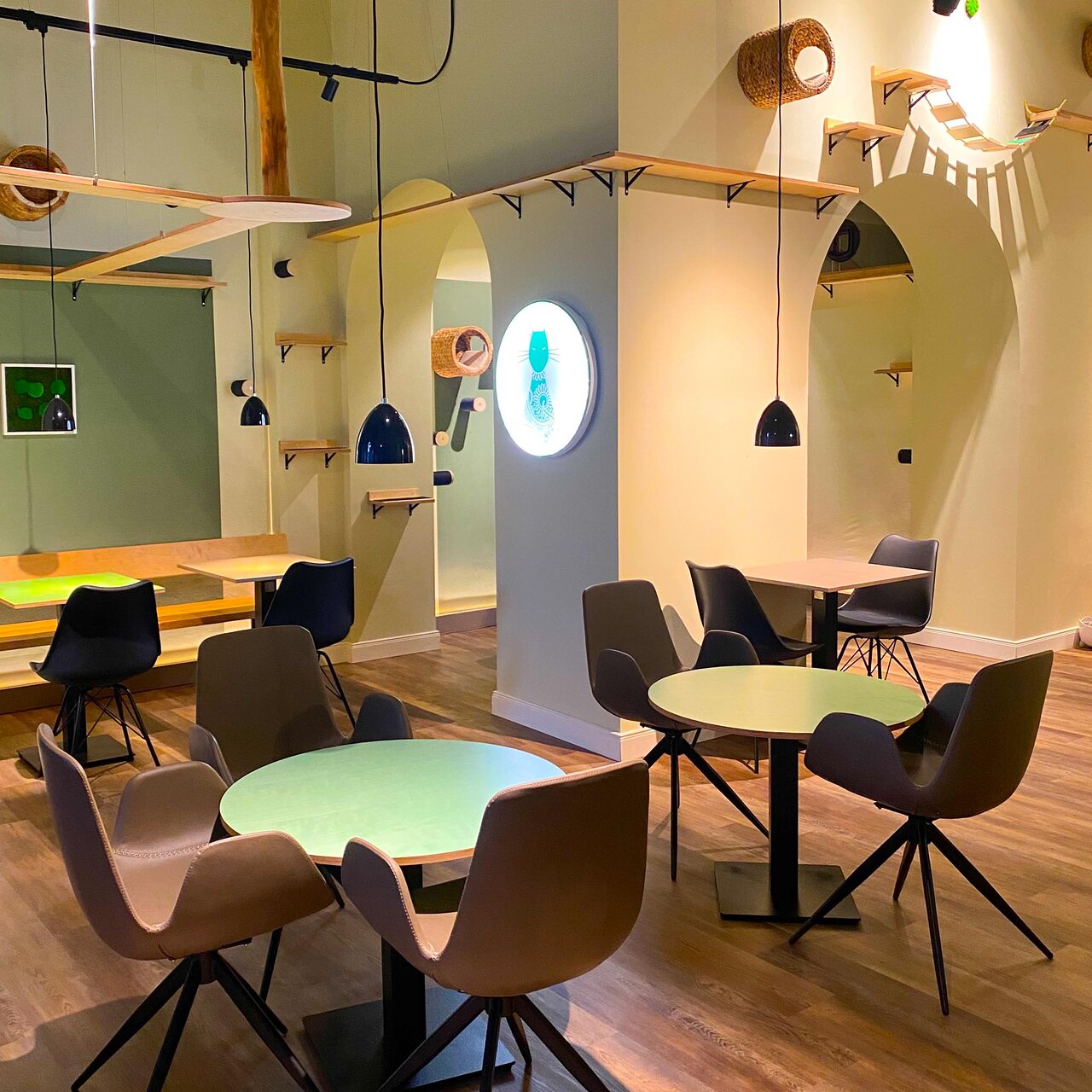 Katzentempel Bremen – Bild 1