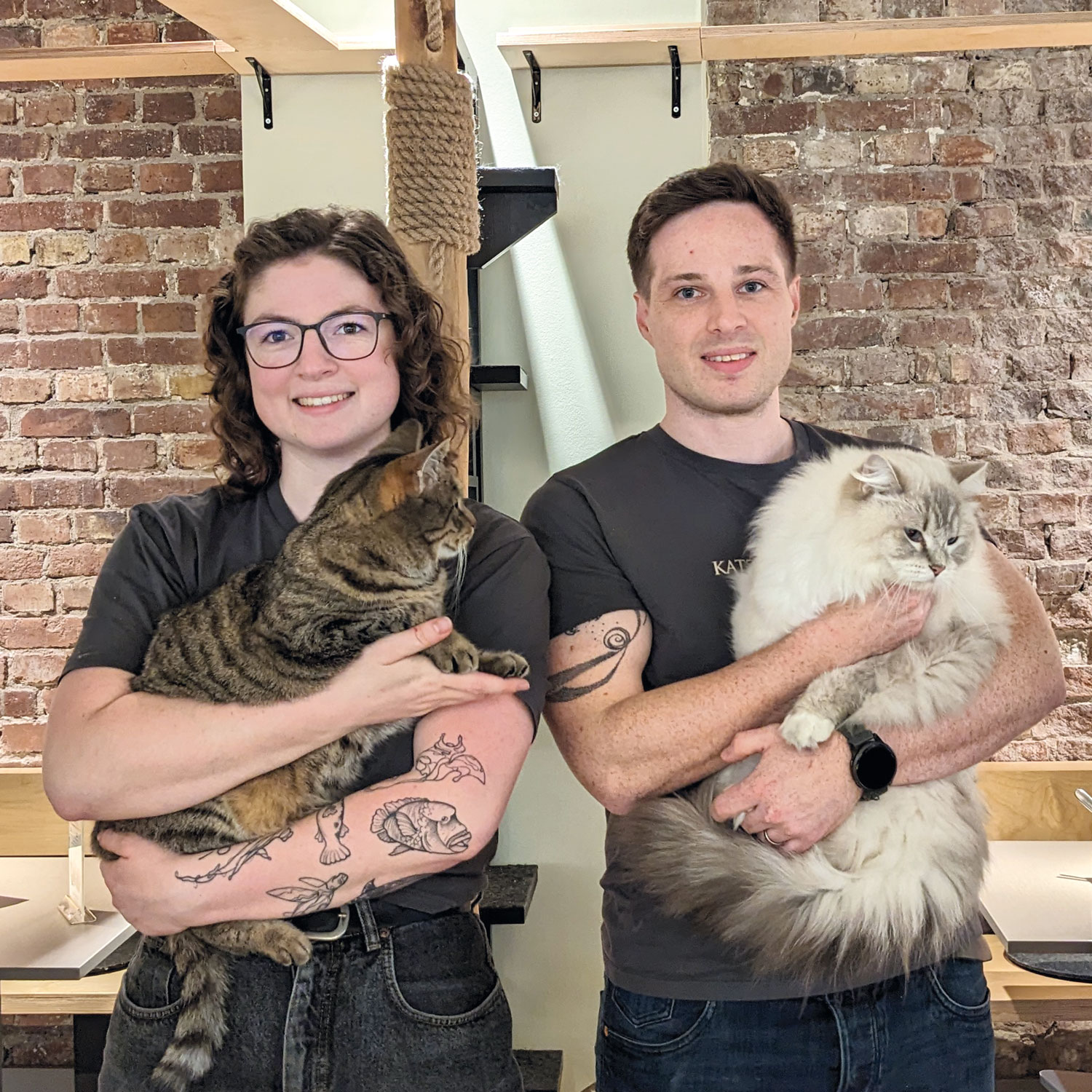 Katzentempel Bremen – Bild 3