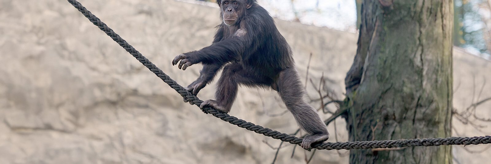 Regenwaldhaus - Zoo Krefeld – Bild 5