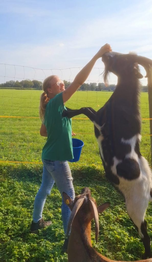 Hof Lange und das bunte AllerlEi – Bild 2