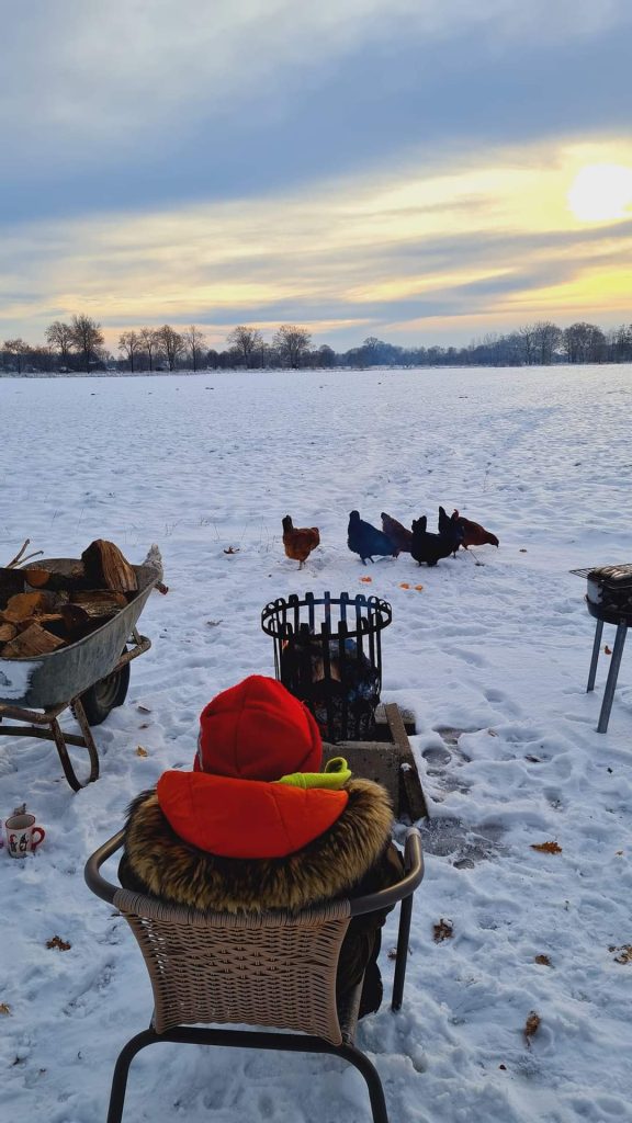 Hof Lange und das bunte AllerlEi – Bild 6