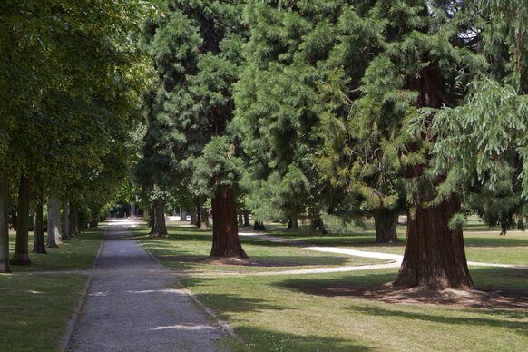 Panoramapark – Bild 5